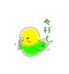 むくむくインコ（個別スタンプ：8）