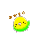 むくむくインコ（個別スタンプ：10）