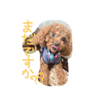 ちゃちゃまるくんのスタンプ（個別スタンプ：3）
