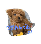 ちゃちゃまるくんのスタンプ（個別スタンプ：8）
