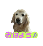 仲良しコンビ・ぐりちゃんとめるちゃん（個別スタンプ：1）