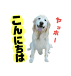 仲良しコンビ・ぐりちゃんとめるちゃん（個別スタンプ：2）