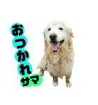 仲良しコンビ・ぐりちゃんとめるちゃん（個別スタンプ：6）