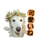 仲良しコンビ・ぐりちゃんとめるちゃん（個別スタンプ：11）