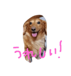 かわゆいななちゃん2（個別スタンプ：3）