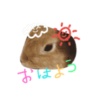 てぃーくん（個別スタンプ：2）