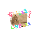 てぃーくん（個別スタンプ：5）