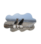アニー＆てば（個別スタンプ：2）