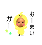 ヒヨちよ（個別スタンプ：11）