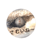 3ハム（個別スタンプ：25）