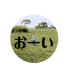Y＆M〜日常会話（個別スタンプ：16）