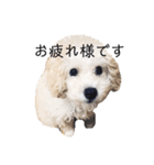 たわし3（個別スタンプ：5）