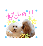 なかよしちびーず（個別スタンプ：5）