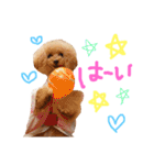 なかよしちびーず（個別スタンプ：8）