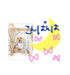 なかよしちびーず（個別スタンプ：11）