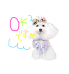 なかよしちびーず（個別スタンプ：13）