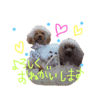 なかよしちびーず（個別スタンプ：17）