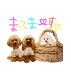 なかよしちびーず（個別スタンプ：19）
