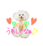 なかよしちびーず（個別スタンプ：23）
