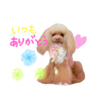 なかよしちびーず（個別スタンプ：27）
