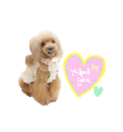 なかよしちびーず（個別スタンプ：30）