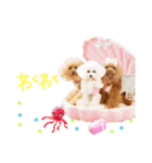 なかよしちびーず（個別スタンプ：34）