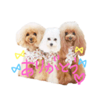 なかよしちびーず（個別スタンプ：36）