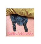 ミニチュアダックスのあひるちゃん（個別スタンプ：8）