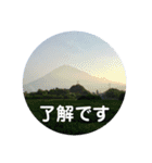 富士山の麓から（個別スタンプ：1）
