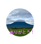 富士山の麓から（個別スタンプ：5）