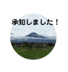 富士山の麓から（個別スタンプ：7）