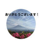 富士山の麓から（個別スタンプ：8）