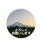 富士山の麓から（個別スタンプ：10）
