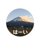 富士山の麓から（個別スタンプ：11）