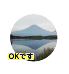 富士山の麓から（個別スタンプ：15）