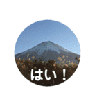 富士山の麓から（個別スタンプ：16）