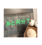 ちょこぴこぉ（個別スタンプ：7）