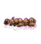 ちょこぴこぉ（個別スタンプ：8）