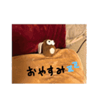 ちょこぴこぉ（個別スタンプ：9）