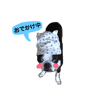 遠藤家のしんちゃん（個別スタンプ：4）