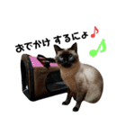 おはぎとオレオ（個別スタンプ：1）