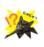 おはぎとオレオ（個別スタンプ：16）