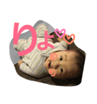 あんちゃん02（個別スタンプ：9）