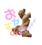 我が家の愛犬天使（個別スタンプ：1）
