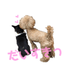 我が家の愛犬天使（個別スタンプ：6）