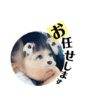 あたしんち。【2】（個別スタンプ：4）