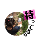 あたしんち。【2】（個別スタンプ：15）