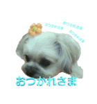 ちゃなな（個別スタンプ：2）