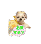 ちゃなな（個別スタンプ：9）