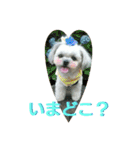 ちゃなな（個別スタンプ：10）